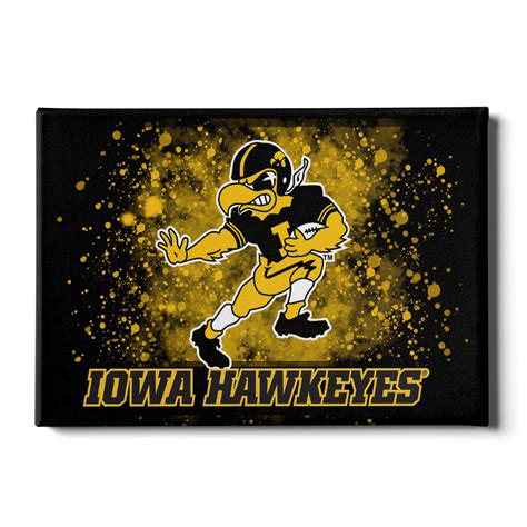 Iowa Hawkeyes - Iowa Hawkeyes Single Layer Dimensional - College Wall Art