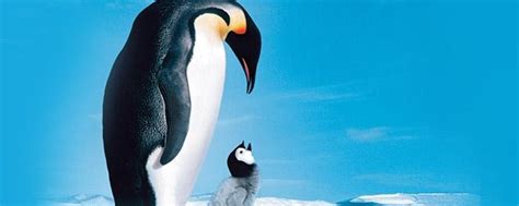 A Personal Review of March of the Penguins Documentary | DocumentaryTube