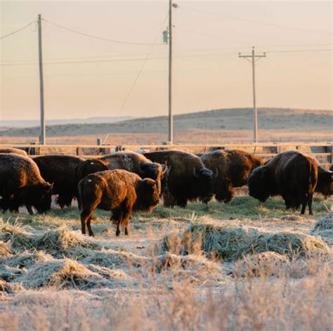 The Rosebud Sioux Tribe in South Dakota | U.S. Economic Development Administration (EDA)