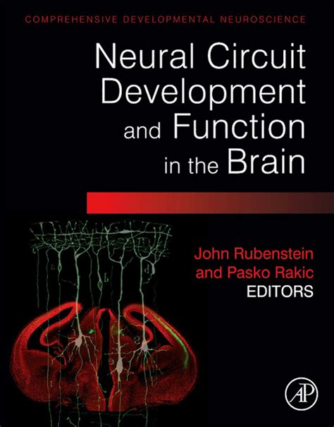 Neural Circuit Development and Function in the Healthy and Diseased Brain - E-Book