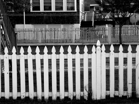 Characters - fences