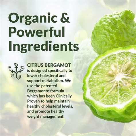 Organic Citrus Bergamot Capsules - 1,000mg (2 Servings) - Vegan ...