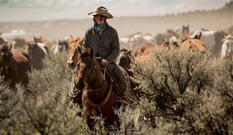 95+ Cowboy Horse Names - Organized by Horse Color - Helpful Horse Hints