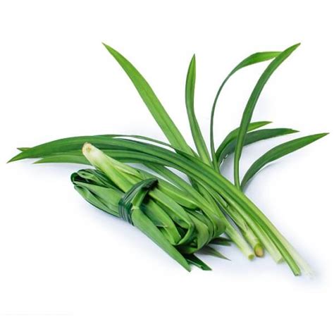 Pandan Leaf / Daun Pandan – Chin Woh – Vegetables & Fruits Supplier in Ipoh