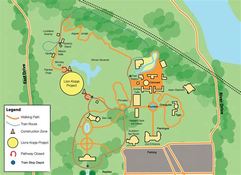 Construction Begins on African Lion Habitat At Audubon Zoo