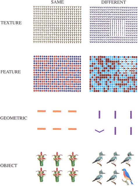 Representative examples of the four display types concurrently used to ...