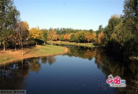 Autumn scenery of Olympic Forest Park, Beijing - China.org.cn