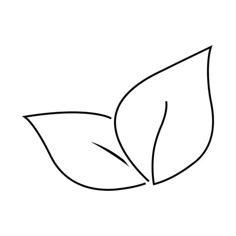 Leaf line icon 21022711 Vector Art at Vecteezy