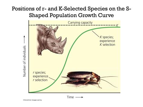 APES Agenda: Review Pop. Probs. HW Ppt. Lecture on Growth Curves - ppt ...