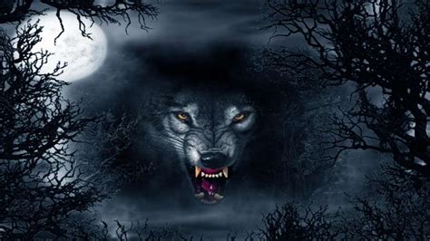 Snarling wolf wallpaper - backiee