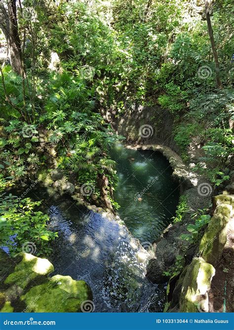 XCaret eco park zdjęcie stock. Obraz złożonej z siedlisko - 103313044