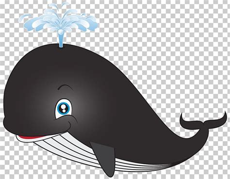 Sperm Whale Cartoon PNG, Clipart, Art, Beluga Whale, Blue Whale ...