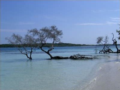 "Parque Nacional Morrocoy" beaches, Venezuela | Venezuela, Parque nacional morrocoy, Paisajes