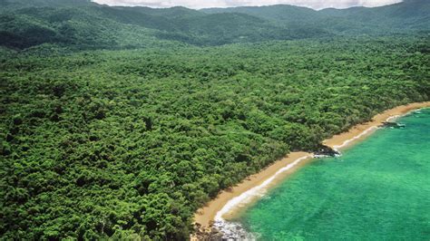 Aerial view of the rainforest in Masoala National Park, Madagascar ...