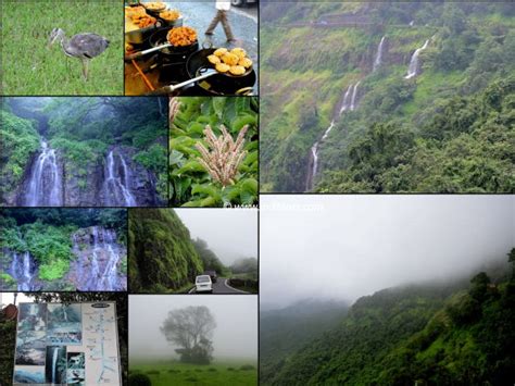 Amboli Ghat - Kingdom Of Waterfalls In The Western Ghats | Inditales