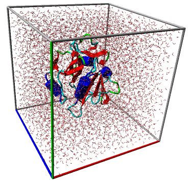 Molecular Dynamics Simulation; Molecular Dynamics Simulations