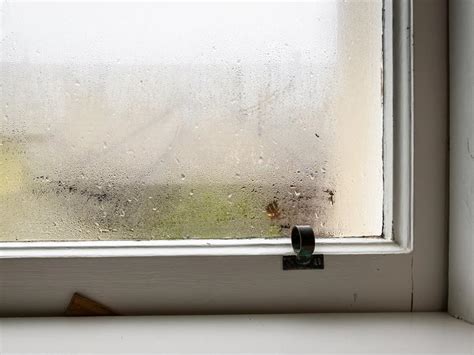 Understanding the Causes of Window Condensation