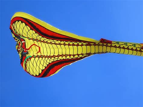 Snake Kite | Kite, Outdoor decor, Wind sock