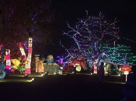 Trail of Lights at Zilker Park Zilker Park, Light Trails, Lights ...