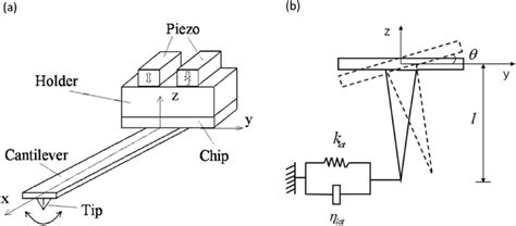 (a) Schematic of the AFM cantilever torsionally excited by the holder ...