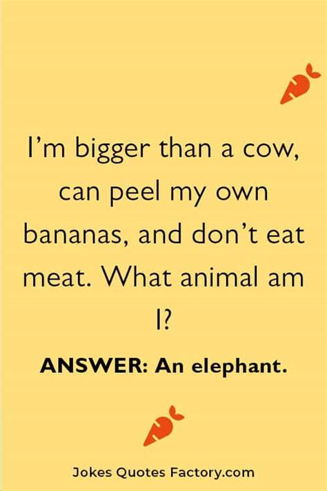 15+ Easy and Funny Animal Riddles for Kids (with answers) 2024