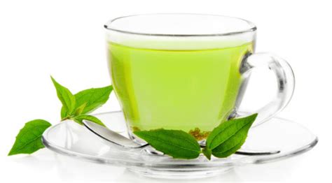 Is Green Tea The Miracle Drink That Could Make You Lose Weight?
