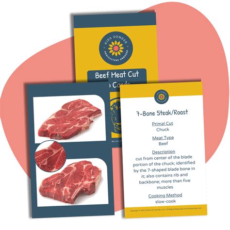 Meat Science: Wholesale/Retail Beef Meat Cut Identification Flashcards ...
