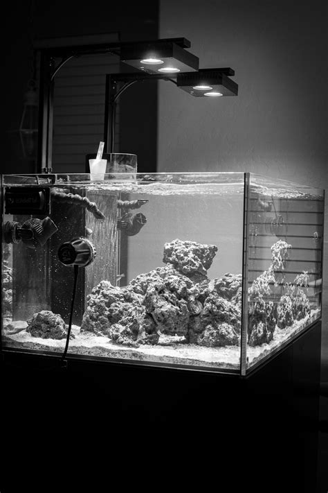 FS: Complete Waterbox Setup | Reef2Reef