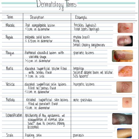 Dermatology Skin Conditions 2 Pages Printable Pdf Immediate Download - Etsy