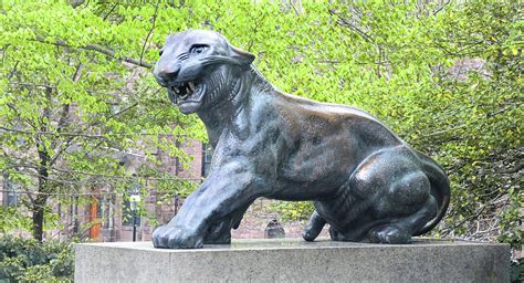 Princeton Tiger Statue Photograph by Dave Mills - Fine Art America