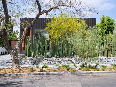 Cacti Were Used To Create Privacy For This Home In Los Angeles ...