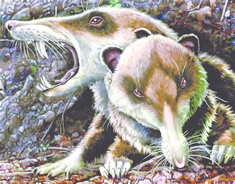 | South American mammals from the early Late Cretaceous. Rougier et al ...