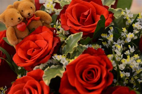 Valentinstag Blumen – Randnotizen.org