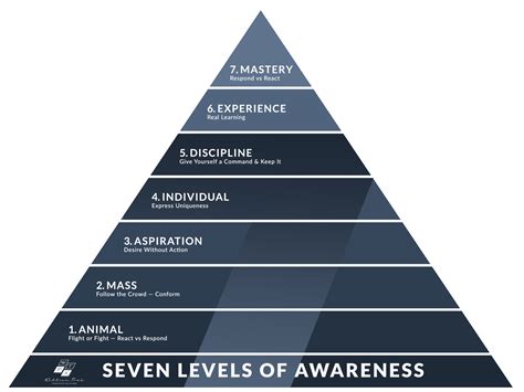 7 Levels of Awareness | WTPS