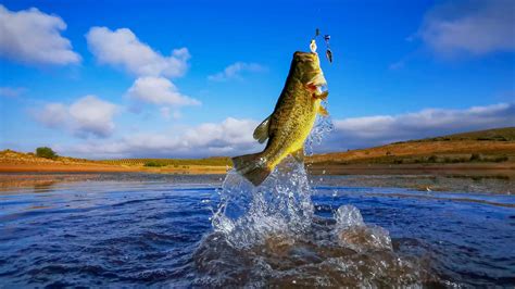 Best Bass Fishing Lakes in the US - Hook & Bullet