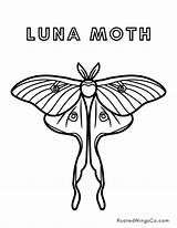Free Moth Coloring Pages  Rooted Wings Co sketch template
