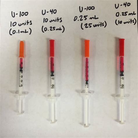 Is 20 Units of Insulin a Lot for a Dog? Discover the Optimal Dosage ...