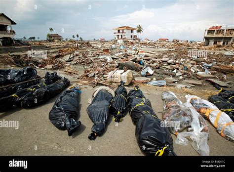 Body bags and debris after the Indian Ocean earthquake and tsunami ...