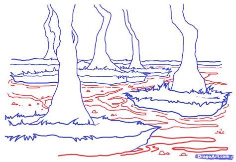 How to Draw a Swamp, Draw Swamps, Step by Step, Watermasses, Landmarks & Places, FREE Online ...