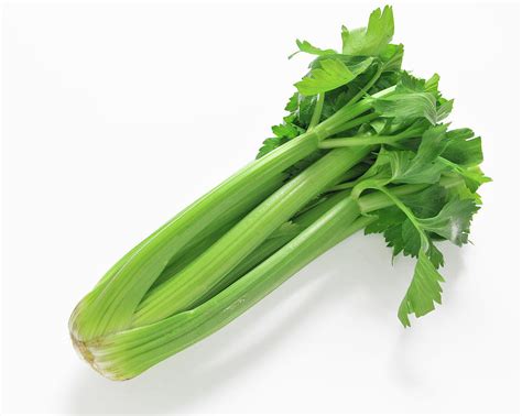 A Fresh Celery Stalk On A White Background Photograph by Ulrike Koeb - Fine Art America