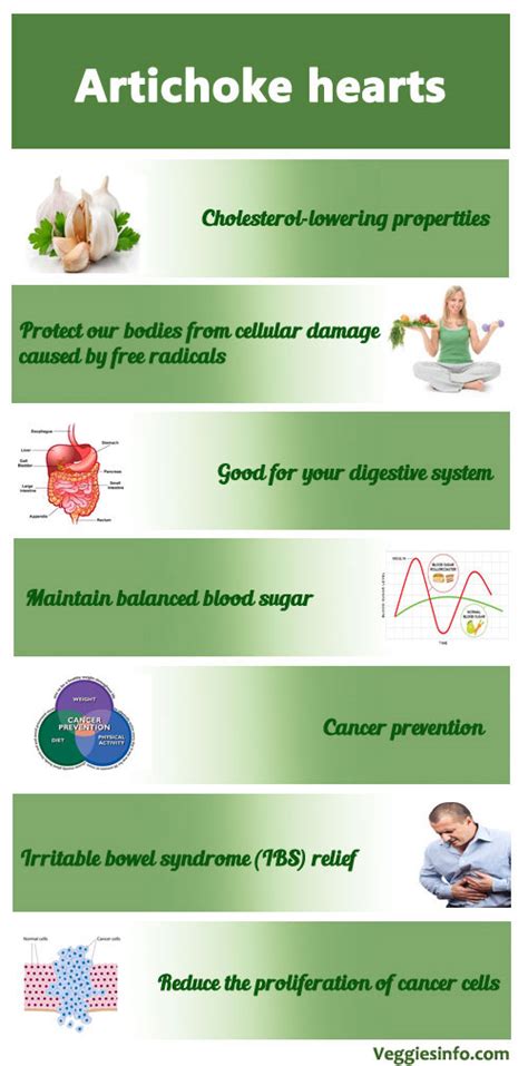 Artichoke Nutrition Information , Health Facts | Veggies Info