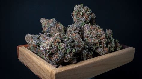 Black Cherry Gelato Weed Strain Review - Rolling Paper