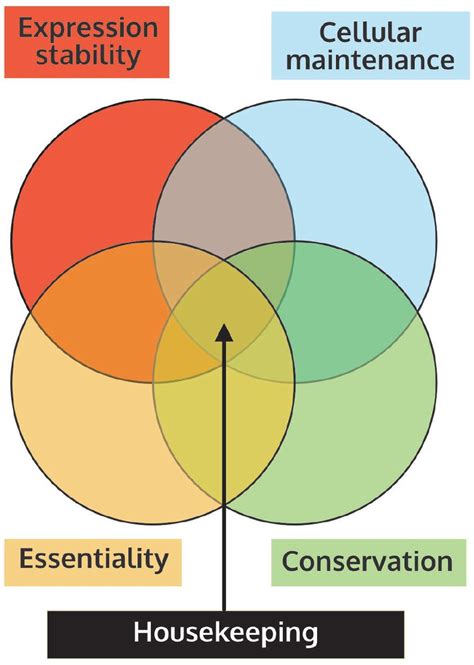 What are housekeeping genes? | bioRxiv