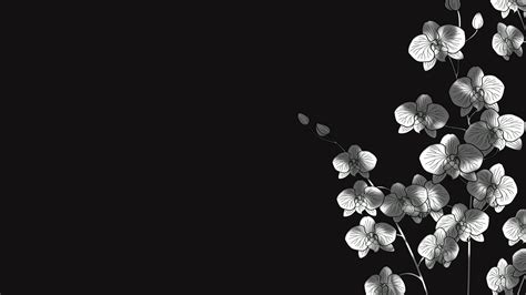 26 Flower Minimalist Wallpapers - Wallpaperboat