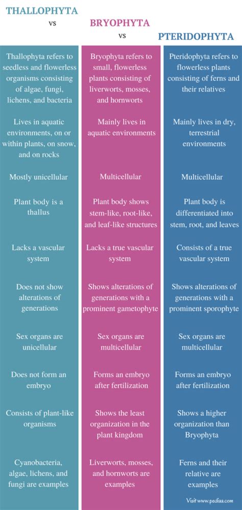 Difference Between Thallophyta Bryophyta and Pteridophyta | Definition ...