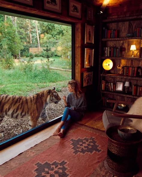 This Incredible Safari Lodge Lets You Live And Sleep Next To Lions ...