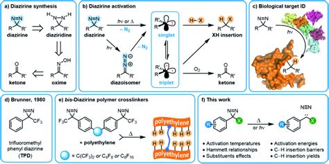 Overview of diazirine synthesis, activation, and applications. (a)... | Download Scientific Diagram