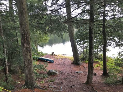 Pardee Lake Campsite #1 in Algonquin Park | Campsite Report