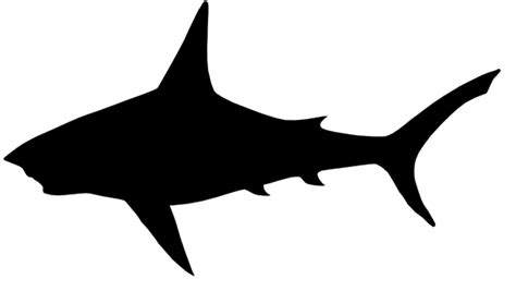 black shark clip art - Clip Art Library