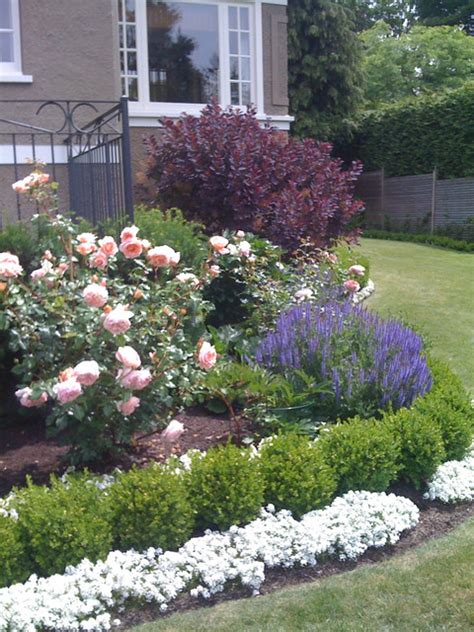 Traditional Roses and Lavender - Traditional - Landscape - Vancouver ...